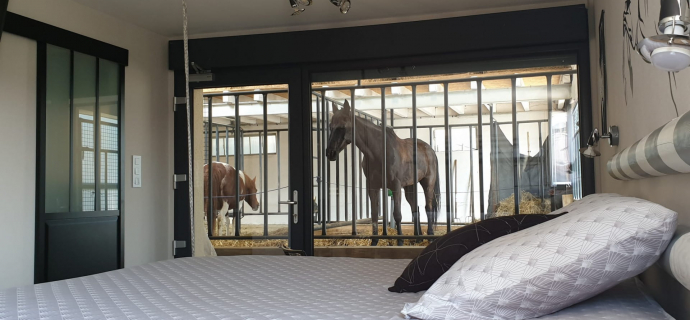 Equi Lodges Spa, um mit Pferden zu schlafen