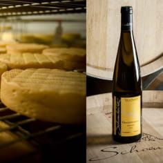 Laboratorio di degustazione di vini e formaggi della Valle di Munster