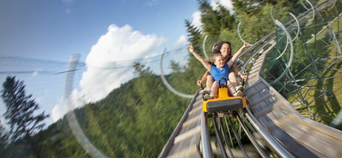 Schlitte Mountain rodelen op rails in La Bresse-Hohneck - Set van 10 tickets