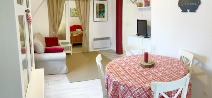 Gezellig gemeubileerd appartement met airconditioning in het hart van Colmar met terras