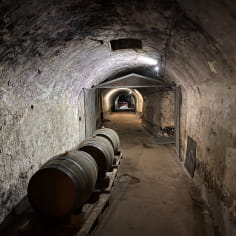 the brewery cellars