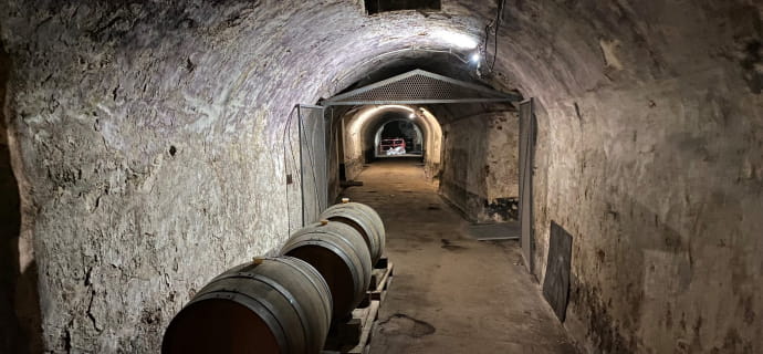 the brewery cellars