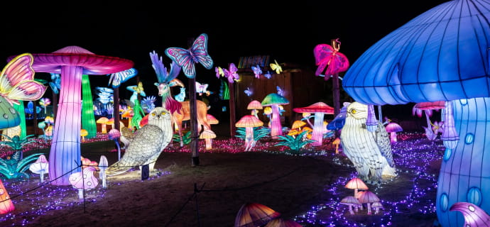 Luminescences Festival in de dierentuin van Amnéville
