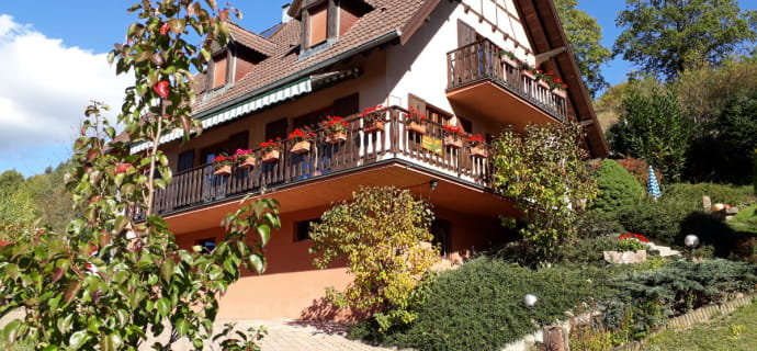 Bed & breakfast close to castles, hiking trails and the Alsace Wine Route