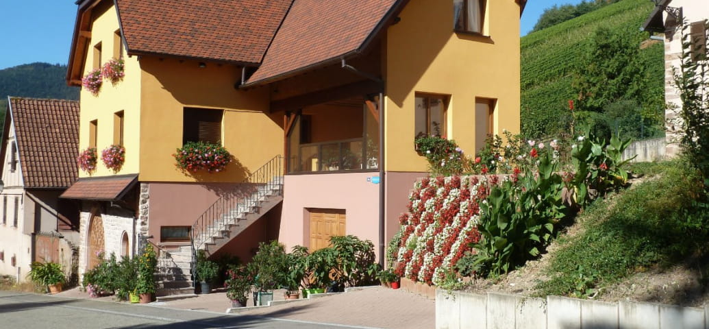 Le Schieferberg - appartamento per 4 persone all'inizio dei sentieri escursionistici e della strada del vino dell'Alsazia
