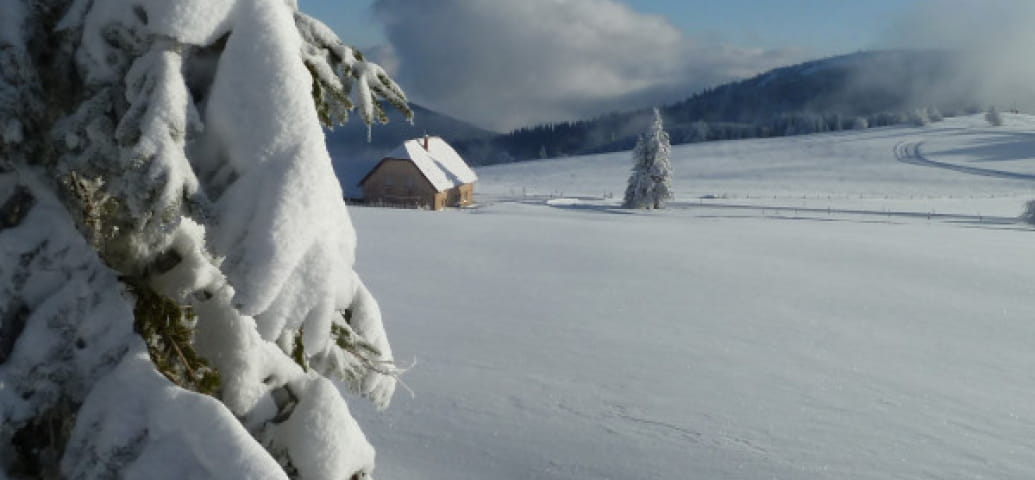 Sneeuwschoenwandeling op de stoppelvelden van Hohneck