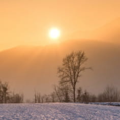 Sonnenuntergangswanderung mit Schneeschuhen am Markstein