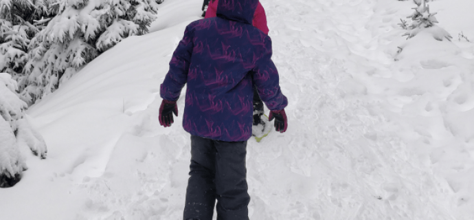 Sneeuwschoenwandeling met iglo bouwen