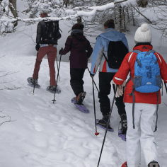 Tête des Faux discovery snowshoe hike
