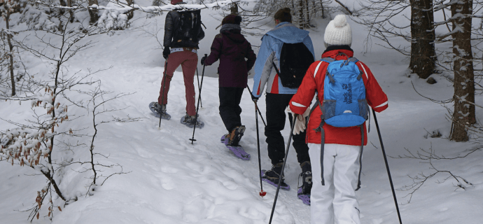 Tête des Faux discovery snowshoe hike
