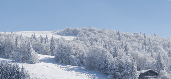 Escursione con le racchette da neve alla scoperta del Rossberg