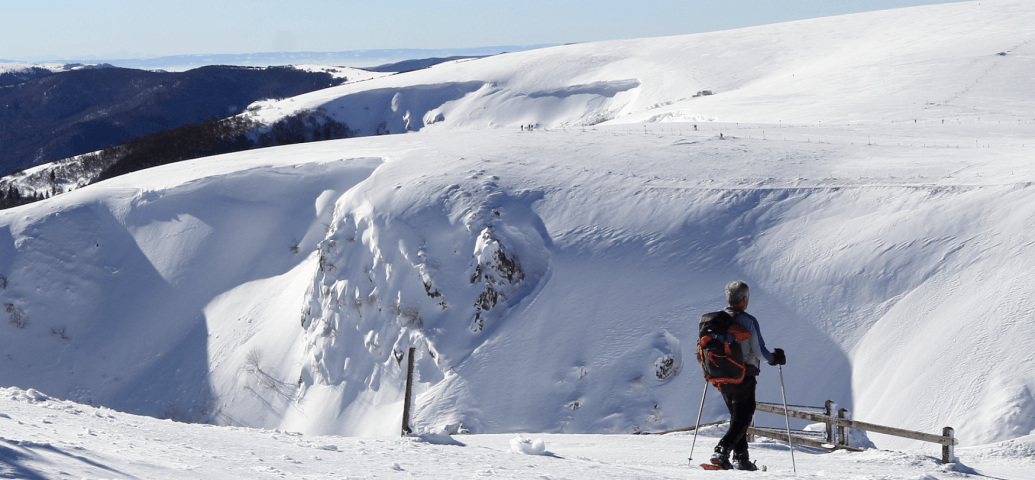 Ontdekkingstocht sneeuwschoenwandelen in Gérardmer