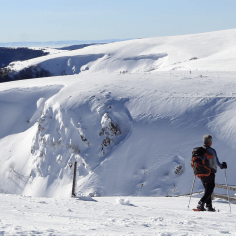 Discover the Col de la Schlucht on snowshoes