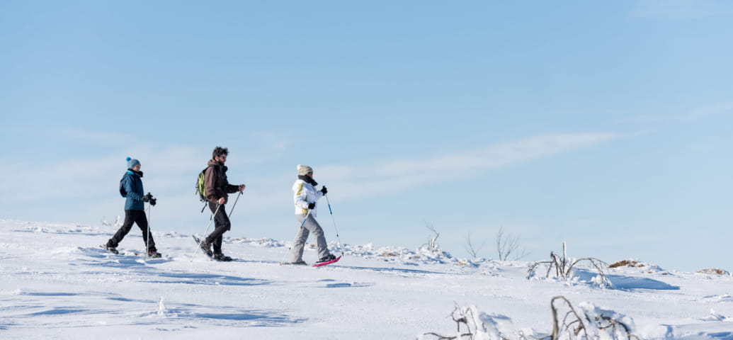 Escursioni gratuite con le racchette da neve