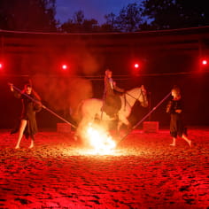 Equestrian fire show