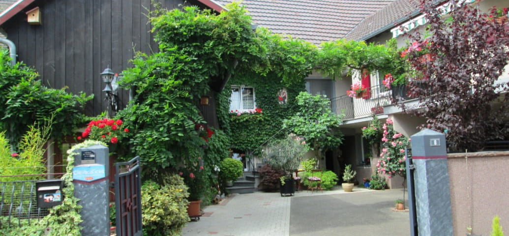 CHARMING GITE in a wine-growing village between Colmar and Mulhouse