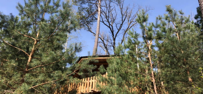 Darwin-Hütte am See von Pierre-Percée