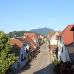 Gîte Ungersberg, 6 people on the Alsace Wine Route 