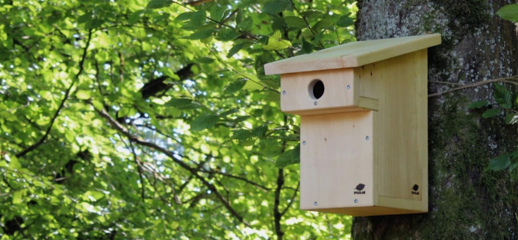 Make your own birdhouse