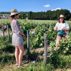 Laboratorio di viticoltura: iniziazione al sollevamento/pesatura - Domaine Champagne Piot-Sevillano