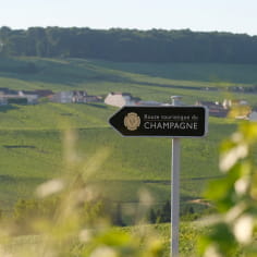 Besuch Les Incontournables de Champagne (Die unumgänglichen Sehenswürdigkeiten der Champagne)
