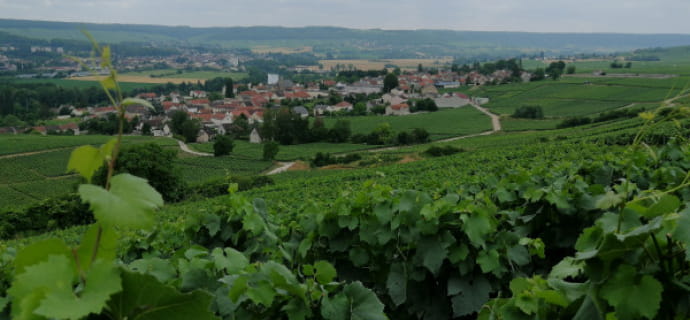 L'Echappée Belle - Visita a piedi e degustazione di vini