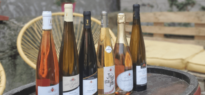 Visite guidée du domaine viticole en Alsace