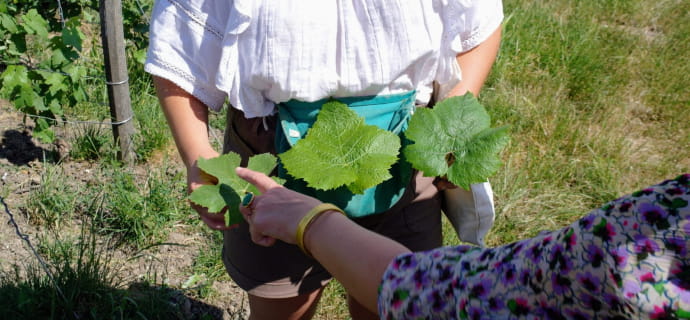 Weinbau-Workshop: Einführung in das Heben und Tragen - Domaine Champagne Piot-Sevillano