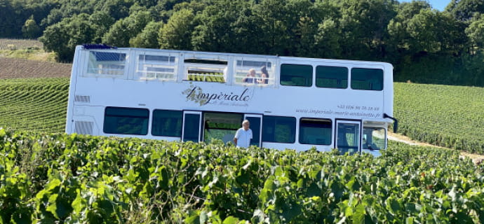 The Avenue de Champagne by double-decker bus: vineyard tour + tastings