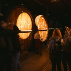 Immersive cellar tour, tasting and board lunch